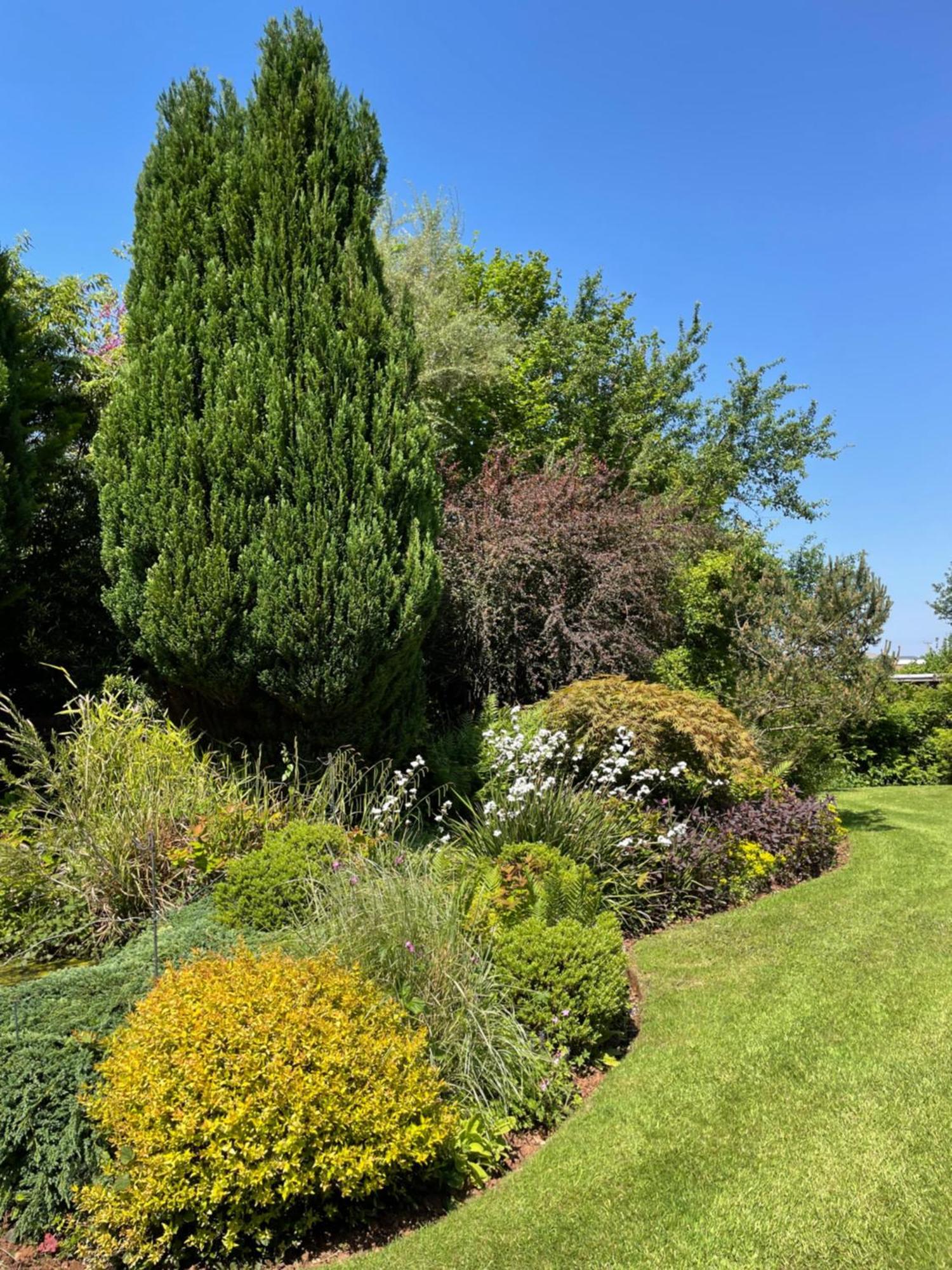 Leylands Annexe East Harptree Exterior foto